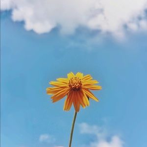 Meet your Posher, Camryn